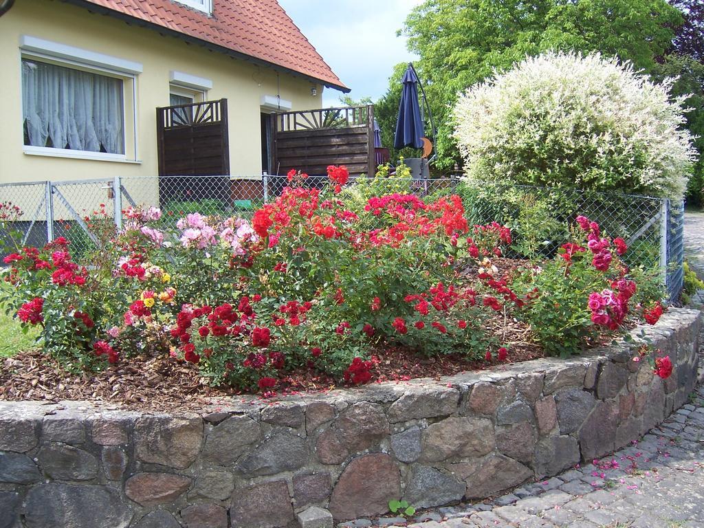 فندق Haus Am Roseneck نيبورغ المظهر الخارجي الصورة